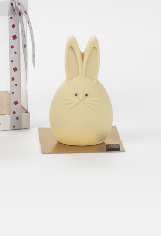 Mr Bunny