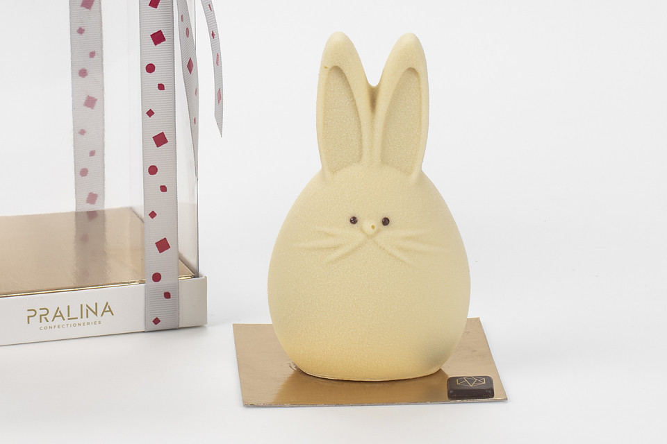 Mr Bunny